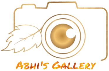 logo img